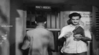 Seetharam Seetharam Video Song || Missamma Movie || NTR, ANR, SVR, Savitri, Jamuna