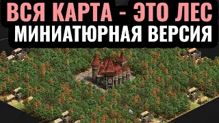 САМАЯ МАЛЕНЬКАЯ КАРТА в истории: КРОШЕЧНЫЙ Вся карта - это ЛЕС для 8 игроков! Age of Empires 2