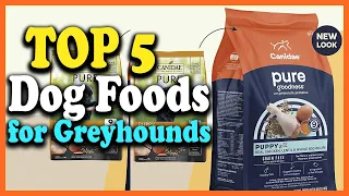 ✅Top 5 Best Dog Food for Greyhounds Reviews 2022