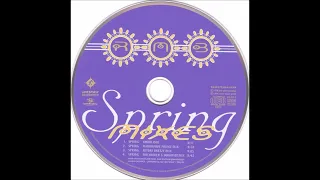 RMB - Spring (Hitch Hiker & Dumondt Remix)
