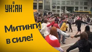 Акции протеста в Беларуси продолжаются