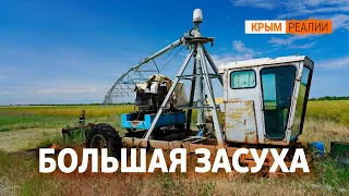 Крым без воды: поливать урожай будут из канализации? | Крым.Реалии ТВ