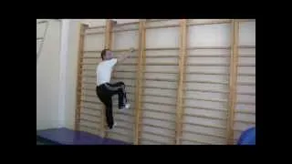 Лазанье по гимнастической стенке