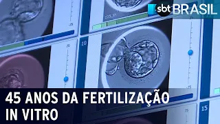 Fertilização in vitro: Poucos brasileiros conseguem fazer o tratamento | SBT Brasil (04/08/2023)
