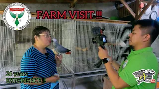 BIRD FARM TOUR SA SAN PEDRO LAGUNA, MAAM MILET ESCALONA OF BIRDS INC. - BIRD KEEPING TIPS !!!