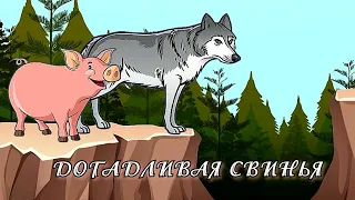 ДОГАДЛИВАЯ СВИНЬЯ. Абхазская сказка.