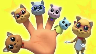 子猫指ファミリー| 子供のための歌 | 赤ちゃんは日本語で韻を踏む | Kitten Finger Family | Preschool Songs | 子供たち テレビ