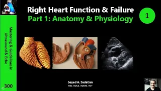 Right Heart Function & Failure Part 1: Anatomy & Physiology