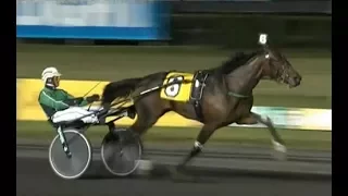 Plunge Blue Chip & Å Svanstedt wins Goldsmith Maid 2 yo fillies ($420,750) in 1:53,1 at Meadowlands