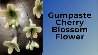 Gumpaste Cherry Blossom Flower
