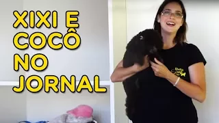 Ensinando a fazer xixi e cocô no lugar - Momento Pet - Adestramento