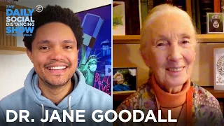Dr. Jane Goodall - How to Remain Hopeful for the Future | The Daily Social Distancing Show