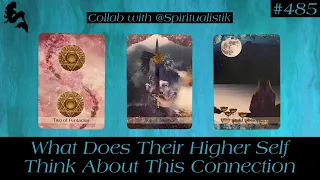 What Does Their Higher Self Think About This Connection💭💌 Collab @spiritualistik 💘 Pick a Card