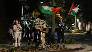 ‘Danger to this country’: Andrew Bolt slams pro-Palestine protesters