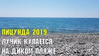 ПИЦУНДА 2019 | Лучик купается на Диком пляже | Пляж в сосновой роще