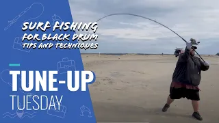 Tune-Up Tuesday |  Basics to Fishing for Black Drum