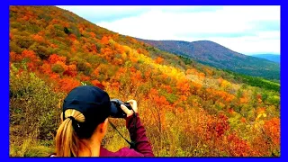 Talimena National Scenic Byway!