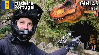 TUBELESS OHNE DICHTMILCH! Hält das? | Jurassic MTB Tour 🦖 GINJAS Trail 🌴 Madeira mit Miss Peaches