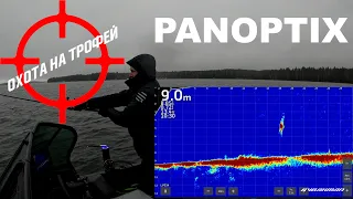 PANOPTIX. Охота на трофей. Визуальное наслаждение.