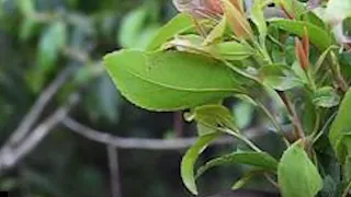 Beeraleyda qaadka Kenya oo Muqdisho yimid sheegayna arrin yaab leh oo ay rabaan