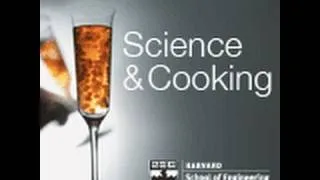 Precision cooking: enabling new textures and flavors | Lecture 2 (2011)