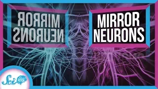 What Do Mirror Neurons Really Do?