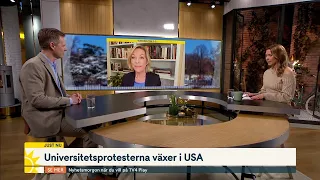 Universitetsprotesterna växer i USA: ”Rabbinen har varnat studenter… | Nyhetsmorgon | TV4 & TV4 Play