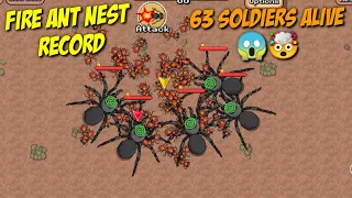 MY BEST FIRE ANT NEST RUN EVER | POCKET ANTS