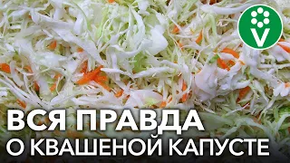 ОСТОРОЖНО, КВАШЕНАЯ КАПУСТА! К чему приводит частое употребление ферментированных продуктов?