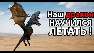 Наш дракон научился летать ! ( Day of Dragons )