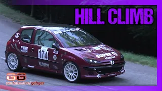 Peugeot 206 XS - Cindy FRITSCH - HILL CLIMB - 2021 - Turckheim-Trois Epis