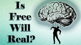 You Are NOT In Control: Free Will