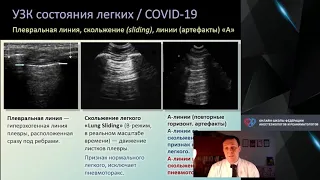 УЗИ легких COVID 19 Кузьков В.В.