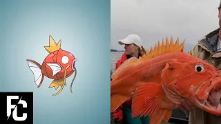 6 More Pokemon You Didn’t Know Were Based On Real Life Creatures | FACT CENTRAL