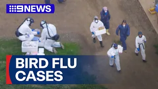 Bird flu cases detected, forcing Victorian egg farm into quarantine | 9 News Australia