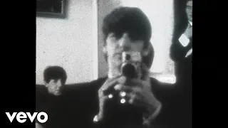 Ringo Starr - Adeline (Visualizer)