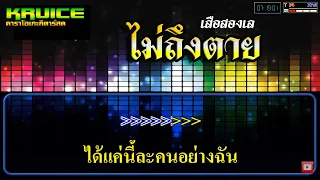 ไม่ถึงตาย - คาราโอเกะ -  เสือสองเล