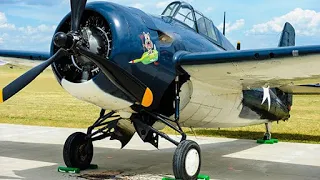 Big Old GRUMMAN WILDCAT AIRCRAFT ENGINES Cold Starting Up