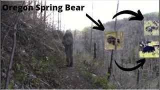 Oregon Spring Bear Hunt (Bears Everywhere)