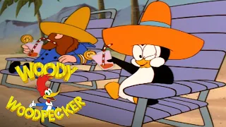 Chilly Goes On a Cruise | 2 Full Episodes | Woody Woodpecker