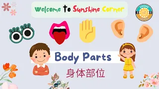 Learn Body Parts in mandarin Chinese for Toddlers, Kids and Beginner  身体部位，我的身体
