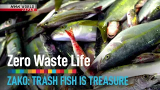 Zako: Trash Fish is Treasure - Zero Waste Life