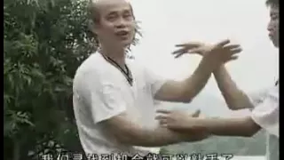 咏春拳   粘手