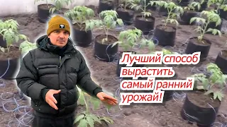 Попробуйте выращивание овощей в теплице "в пакетах"- отличный способ!