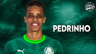 Pedrinho ► Bem vindo ao Palmeiras ? ● 2023 | HD