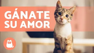 ¿Cómo hacer que tu GATO te QUIERA? 😻 (4 Consejos para conseguirlo)