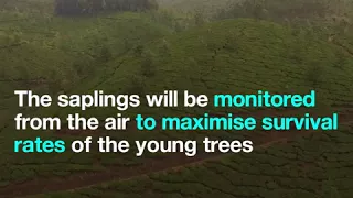 How did India plant 50 million trees in one day