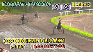 Рысистые бега 1600 метров 2 гит - Вельск, Гордость Поморья 2023