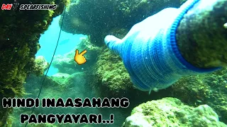 EPISODE 96 : SPEARFISHING PHILIPPINES | HINDI INAASAHANG PANGYAYARI SA DAY DIVE | Drin's Adventure