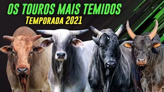 OS 10 TOUROS MAIS TEMIDOS DA ATUALIDADE - TEMPORADA  2021/22